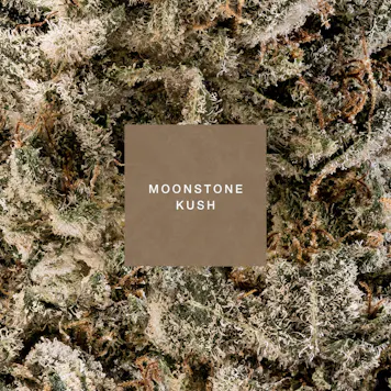 Photo of MOONSTONE KUSH