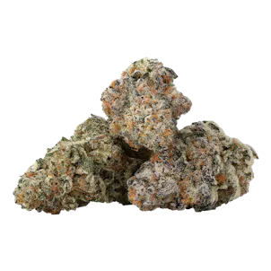 Photo of BZAM x DUNN Grateful Breath