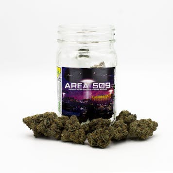 Photo of Area 509 - Platinum Line