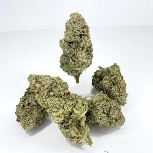 Photo of Original Glue (GG4)