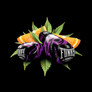 Photo of Funky Monkey Purple Punch Flower
