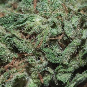 Photo of Blue Dream