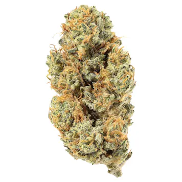 Photo of Blueberry Muffin Indoor-Grown CBD Flower (15.8% CBD)