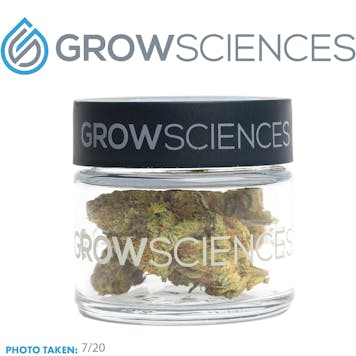 Photo of Strawberry Cream Cake (3.7)