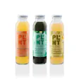 Product image for PLNT Blend turmeric + ginger