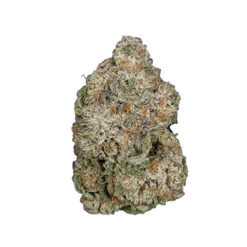 Photo of Cherry Pie OG | 3.5g