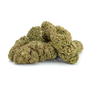 Photo of Delta 8 Infused CBD Flower