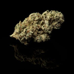 Photo of Sky Walker Kush