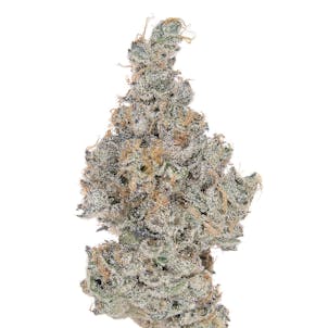 Photo of Beach Wedding