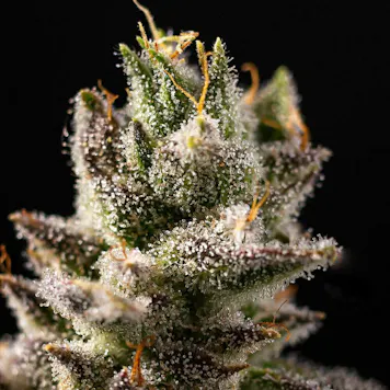 Photo of Strawberry Banana