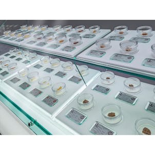 Photo of Dab Bar Cabinet™