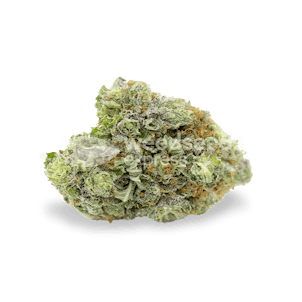 Photo of Bruce Banner Autoflower Seeds