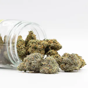 Photo of Inzane In The Membrane