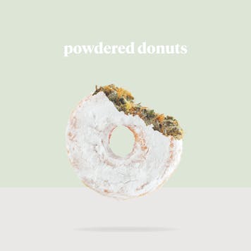 Photo of Social Media Management