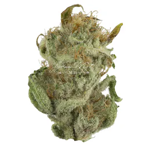 Photo of Shrieker Untrimmed | Silver