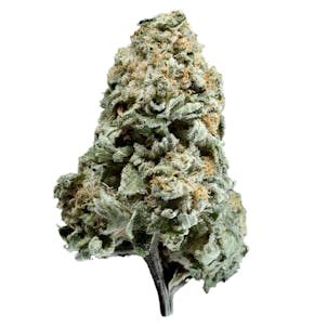 Photo of White Widow