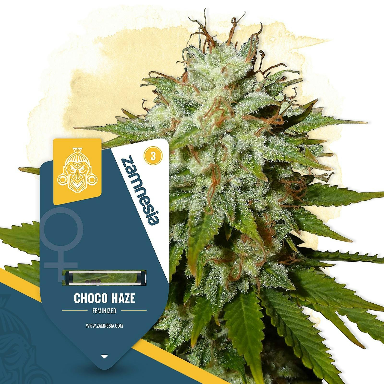 Zamnesia: Choco Haze by Zamnesia Seeds | Leafly