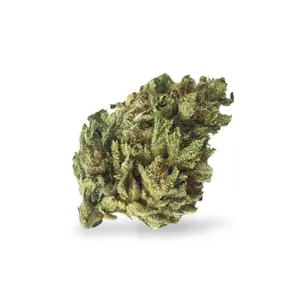 Photo of Night Nurse Feminized