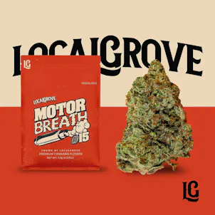 Photo of Motorbreath #15