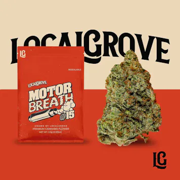 Photo of Motorbreath #15