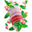 Product image for Candy Cane Terpene Blend