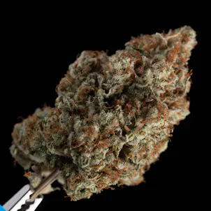 Photo of 3.5g Pina Grossada - Living Soil Cannabis - Upstate Elevator Operators