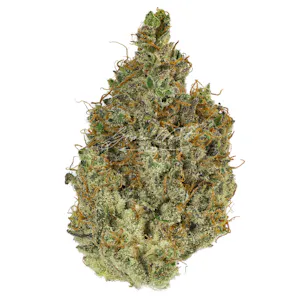 Photo of Neapolitan Space Cream Trimmed | Gold