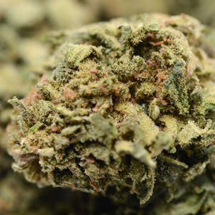 Photo of Raspberry Skunk