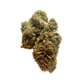 Lime Traveler CBD Flower - Green Nursery CBD Hemp Flower