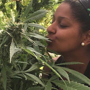 Photo of African Orange Glue