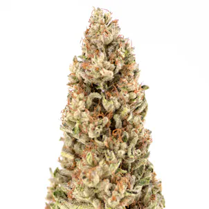 Photo of Cherry Pie