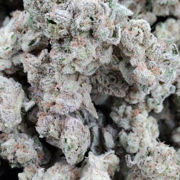 Photo of Imperial Eagle