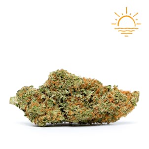 Photo of Lemon Jeffery