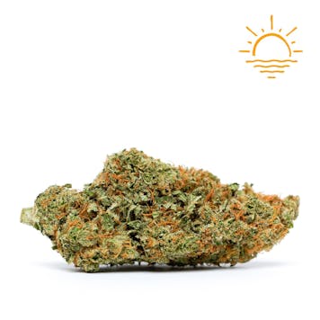 Photo of Lemon Jeffery