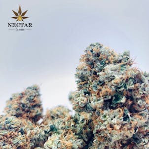 Product image for Chronic Thunder