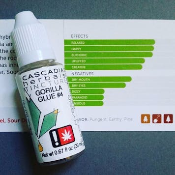 Photo of GG4 (f.k.a. Gorilla Glue #4) Tincture
