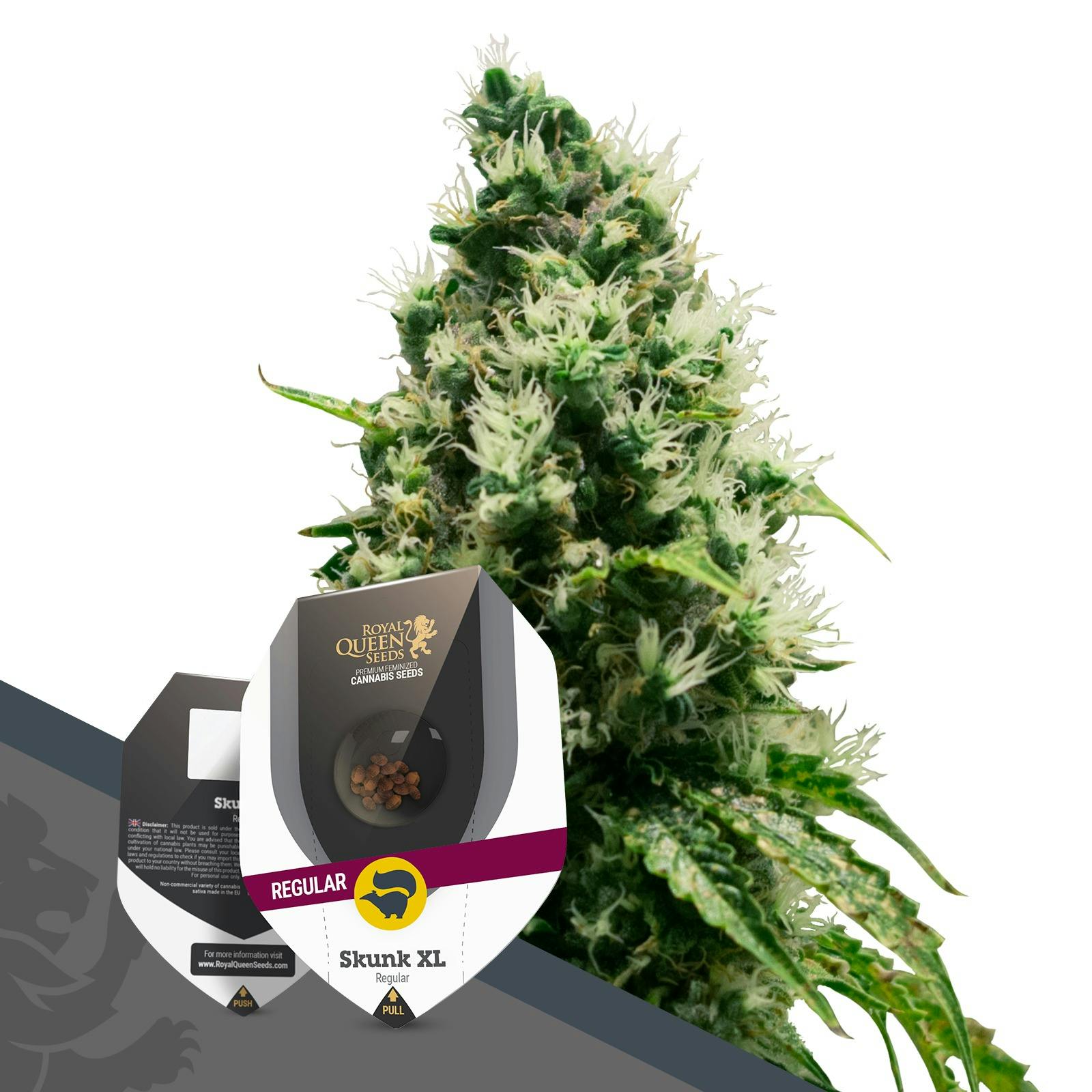 Royal Queen Seeds Skunk Xl Regular Leafly 4622