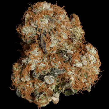 Photo of WHITE BERRY
