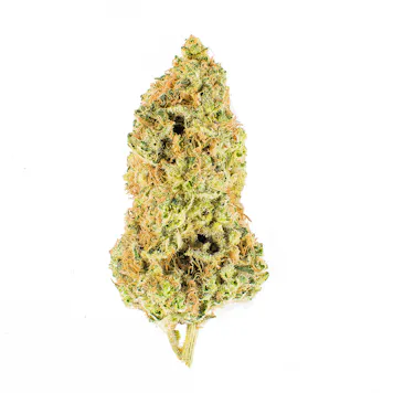 Photo of AK-47