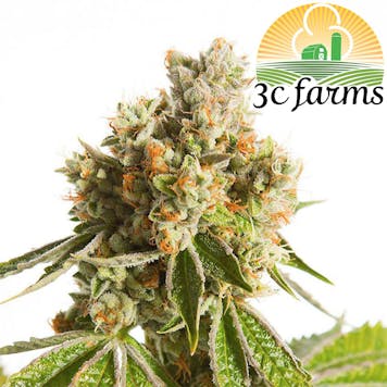 Photo of 3C Valley Girl OG