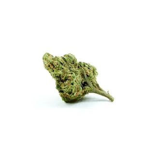 Photo of Cheese Feminized