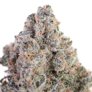 Photo of White Truffle