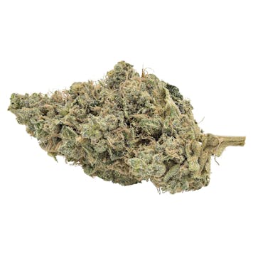 Photo of Stinky Greens Organic Donny Burger