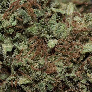 Photo of Bomba Chamba