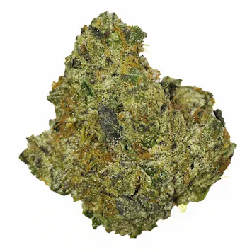 Photo of Animal Candy