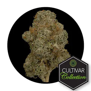 Photo of Cultivar Collection Flower 3.5G - Triangle Hashplant
