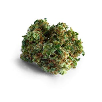 Photo of Big Bud Feminized