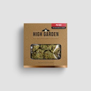 Product image for Pie Face 3.5G Hybrid Flower