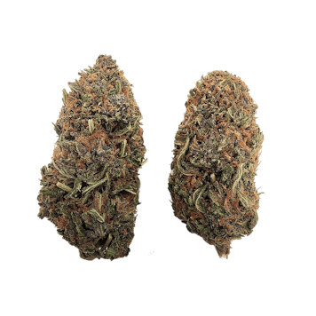 Photo of Guava Kush THCA Flower