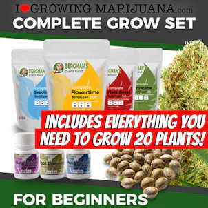 Photo of The Complete Marijuana Seed & Grow Set (Beginners)